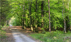 Revier Straach im Frühling