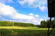 Foto vom Revier Straach in Sachsen Anhalt